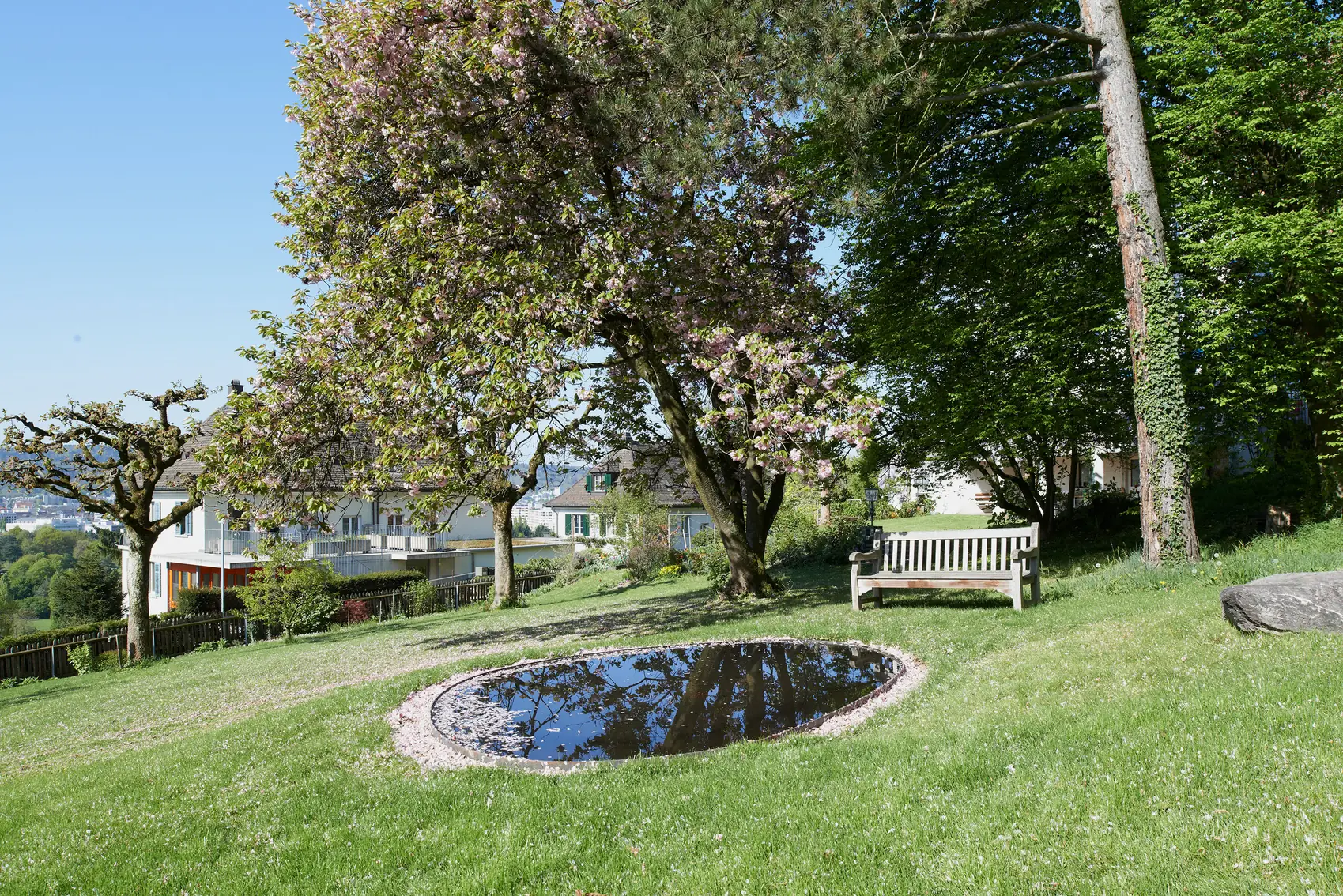 Gartenteich mit Rasenfläche, Magnolie und Sitzbank