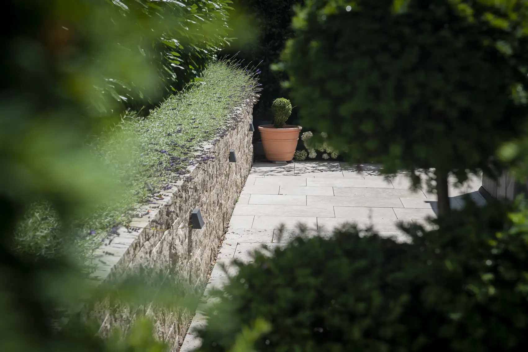 Weg entlang einer Natursteinmauer zwischen geschnittenen Hecken